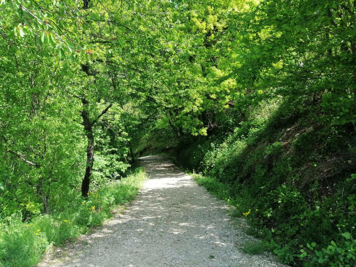 La Grande Chambre Saint-Jean-en-Royans Kültér fotó